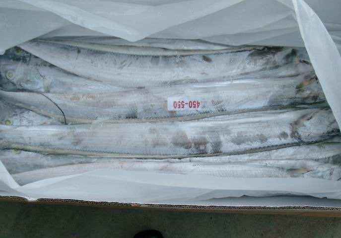 北京建造一個100平米魚類冷凍庫多少錢